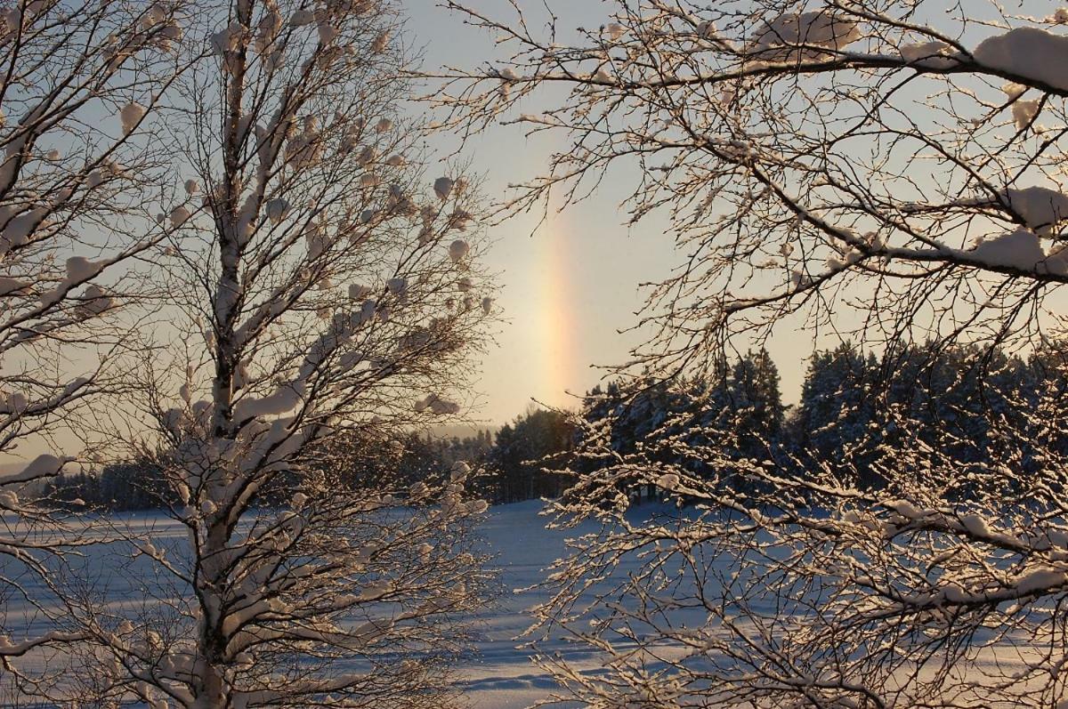 Aha Lodge Sorsele Exteriér fotografie