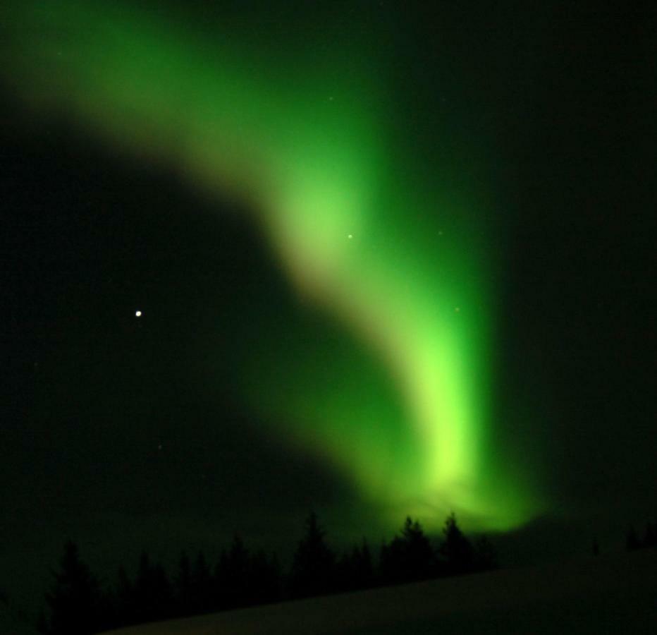 Aha Lodge Sorsele Exteriér fotografie